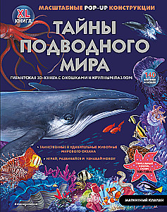 Secrets of the Underwater World. A Book with 3D Windows and a Large Puzzle
