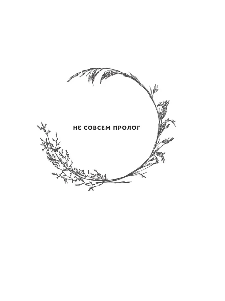 Nine Kingdoms: Princess of the Steppes