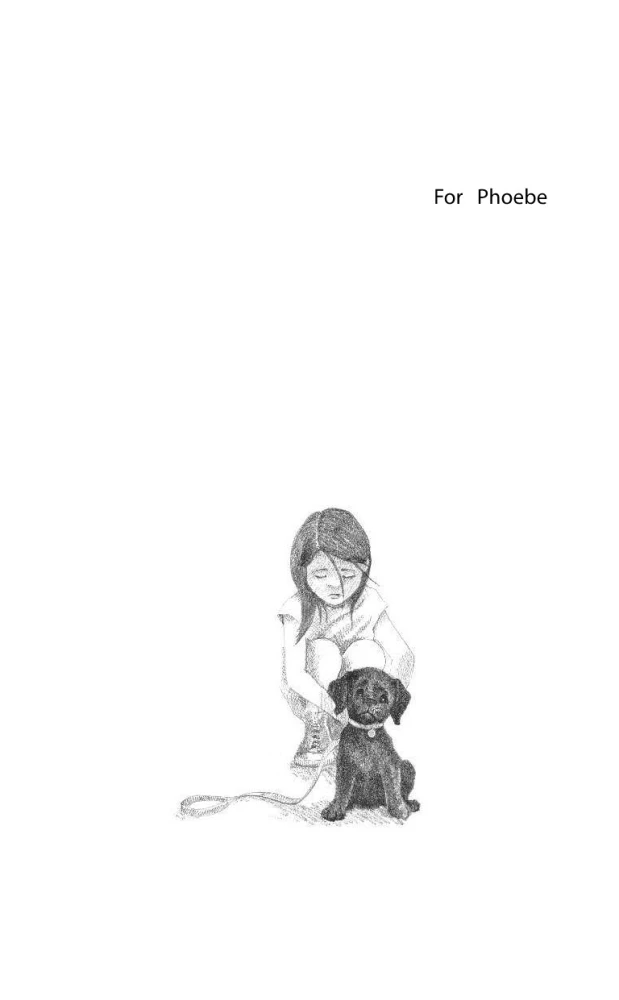 Щенок Кнопочка, или Умная малышка = Buttons the Runaway Puppy