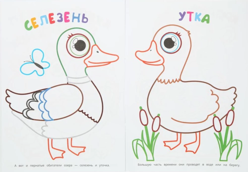 Kas gyvena fermoje? Pirmasis spalvinimo knygelė