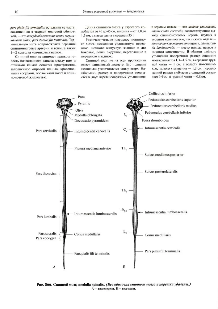 Atlas of Human Anatomy. Volume 3. Neurology. Aesthesiology