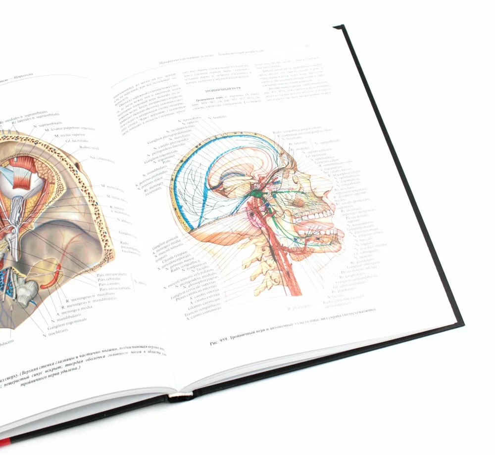 Atlas of Human Anatomy. Volume 3. Neurology. Aesthesiology