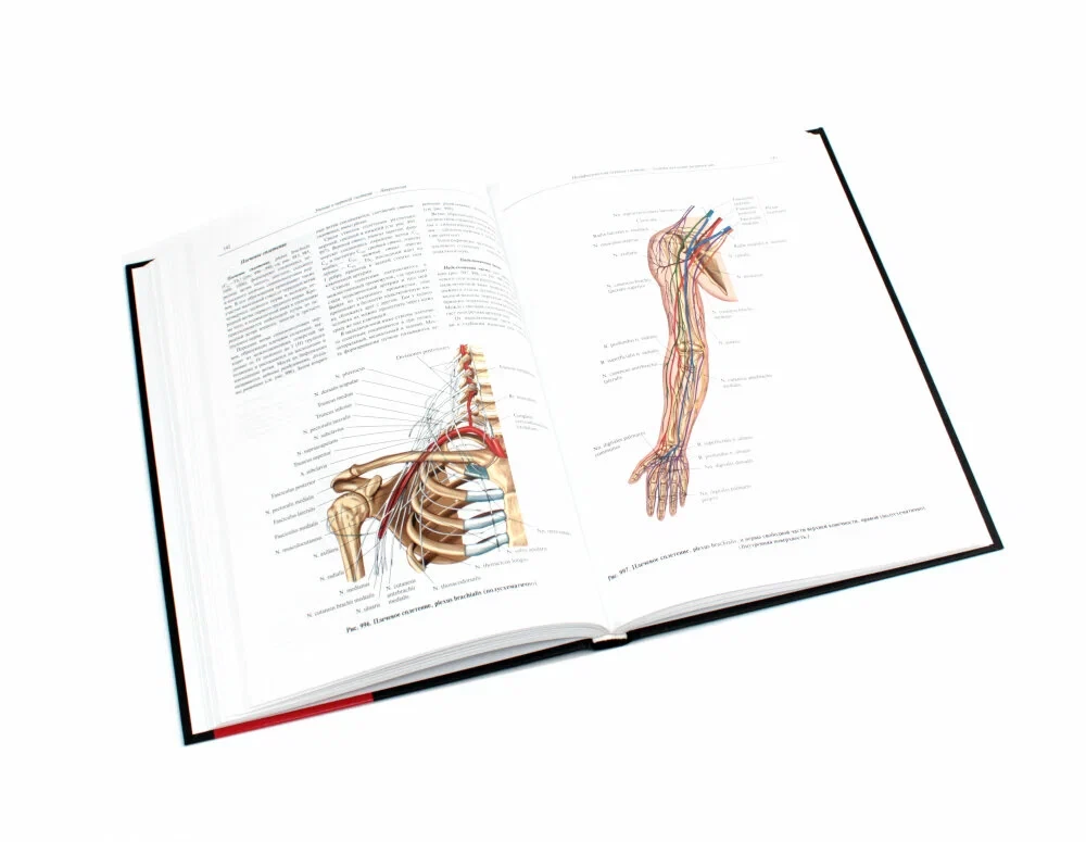 Atlas of Human Anatomy. Volume 3. Neurology. Aesthesiology