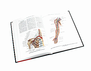 Atlas of Human Anatomy. Volume 3. Neurology. Aesthesiology