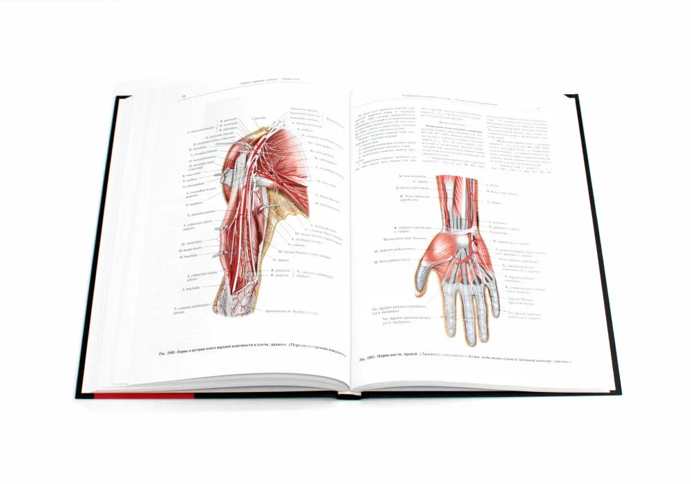Atlas of Human Anatomy. Volume 3. Neurology. Aesthesiology