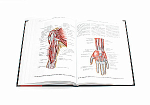 Atlas of Human Anatomy. Volume 3. Neurology. Aesthesiology