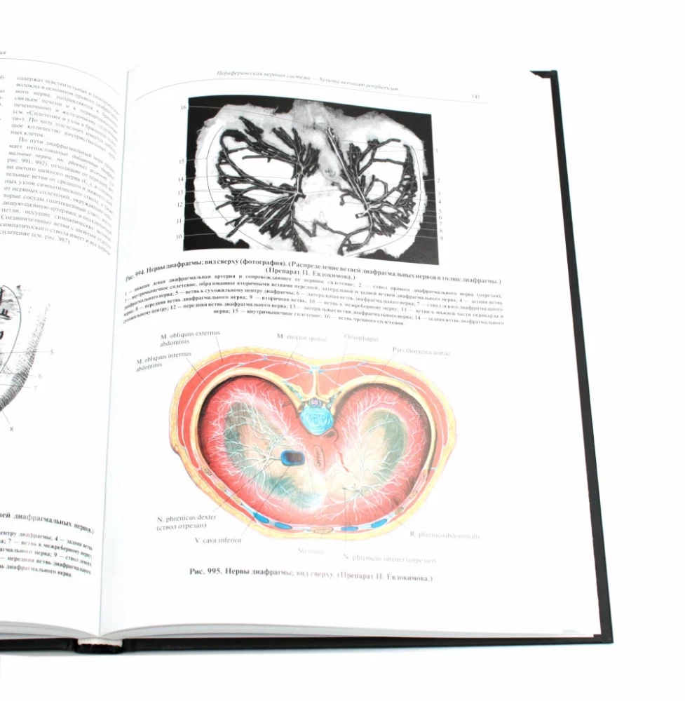 Atlas of Human Anatomy. Volume 3. Neurology. Aesthesiology