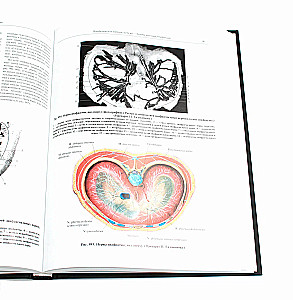 Atlas of Human Anatomy. Volume 3. Neurology. Aesthesiology