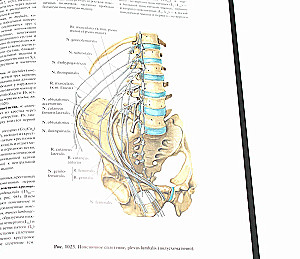Atlas of Human Anatomy. Volume 3. Neurology. Aesthesiology