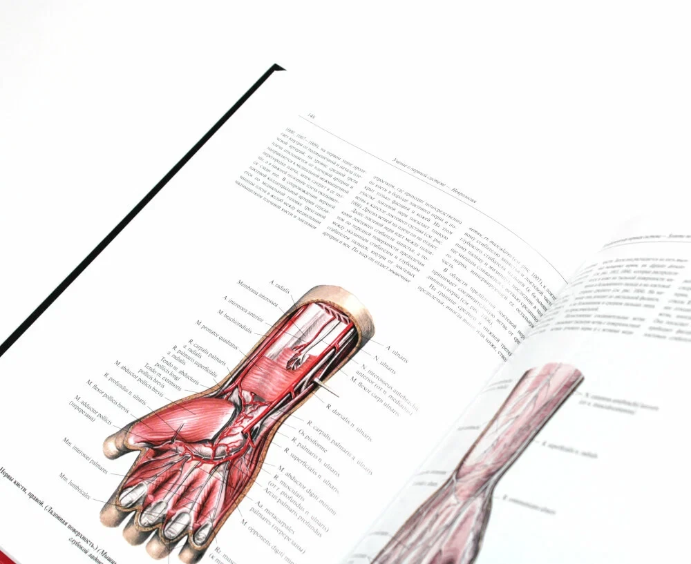 Atlas of Human Anatomy. Volume 3. Neurology. Aesthesiology