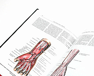 Atlas of Human Anatomy. Volume 3. Neurology. Aesthesiology