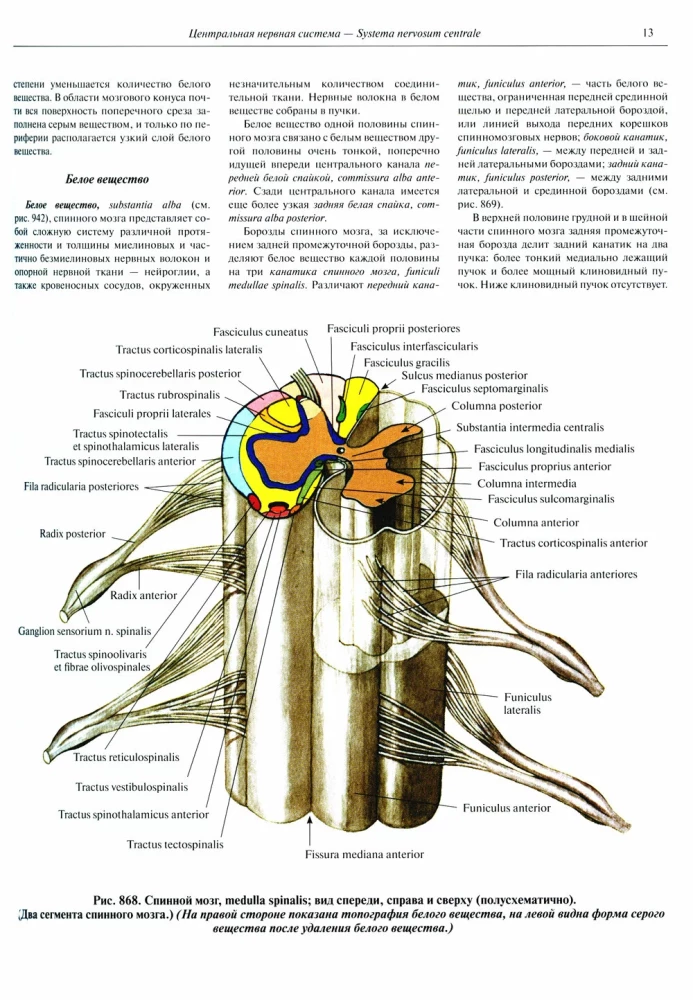 Atlas of Human Anatomy. Volume 3. Neurology. Aesthesiology