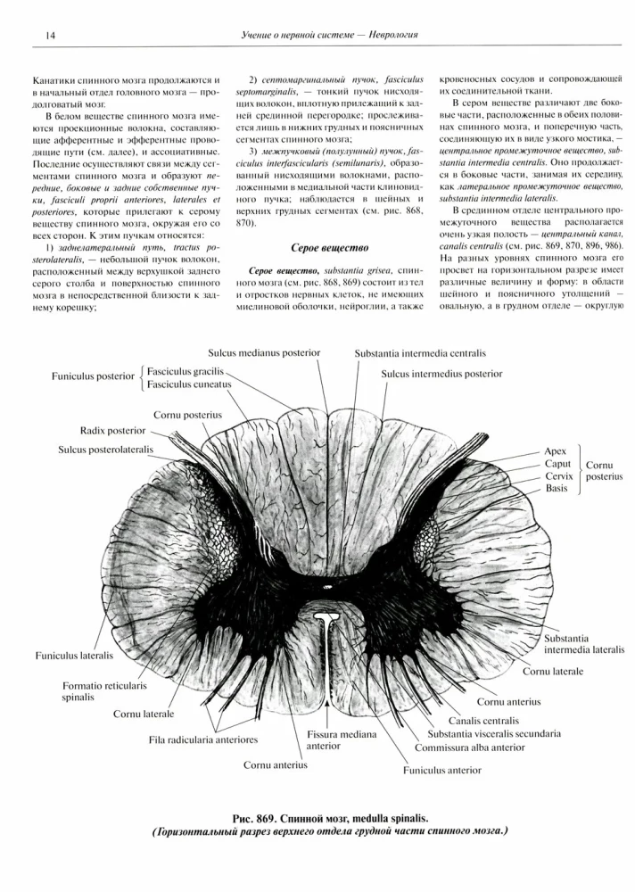 Atlas of Human Anatomy. Volume 3. Neurology. Aesthesiology