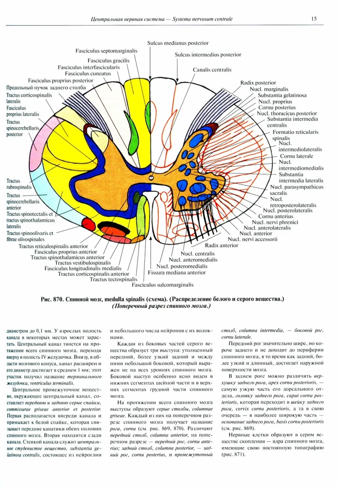 Atlas of Human Anatomy. Volume 3. Neurology. Aesthesiology