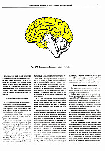 Atlas of Human Anatomy. Volume 3. Neurology. Aesthesiology