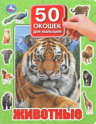 Gyvūnai. 50 langelių mažiesiems