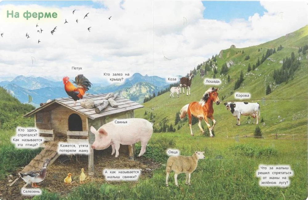 Animals. 50 Windows for Kids