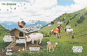 Animals. 50 Windows for Kids