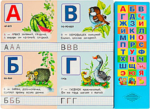 Baby's Alphabet