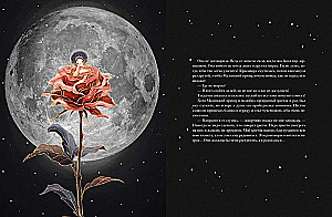 The Little Prince