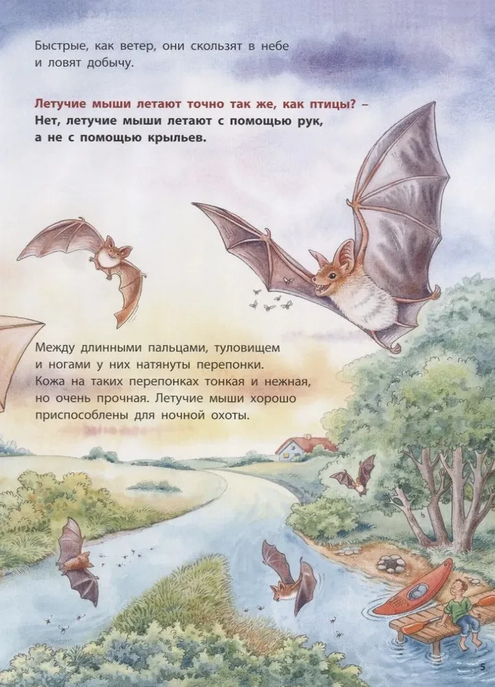 Dokąd leci nietoperz? Pouczające historie