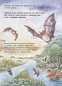 Dokąd leci nietoperz? Pouczające historie