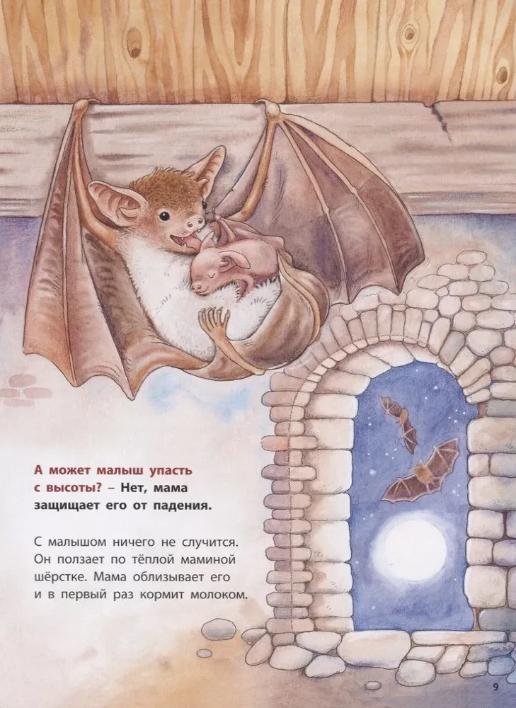 Dokąd leci nietoperz? Pouczające historie
