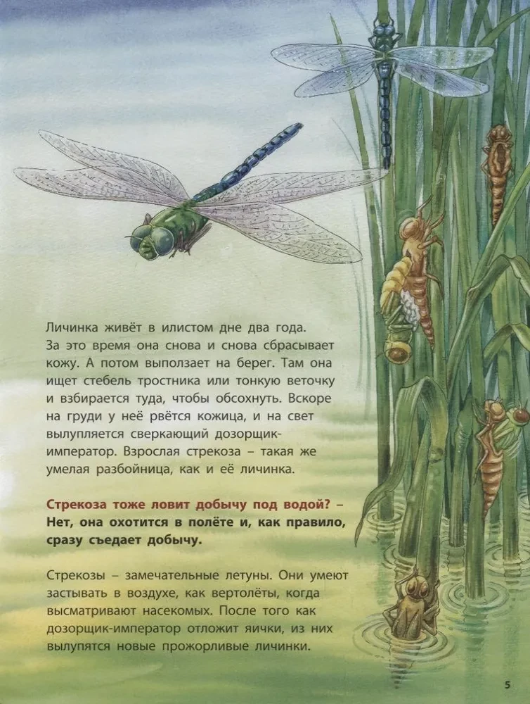 Żabk i jego sąsiedzi. Pouczające historie