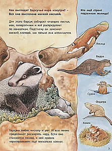 Zwierzęta-budowniczowie. Pouczające historie