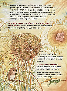 Zwierzęta-budowniczowie. Pouczające historie