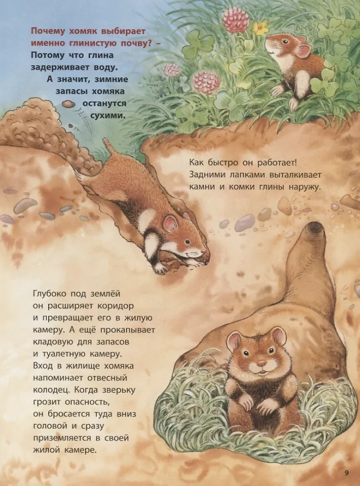 Zwierzęta-budowniczowie. Pouczające historie