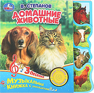 Pets