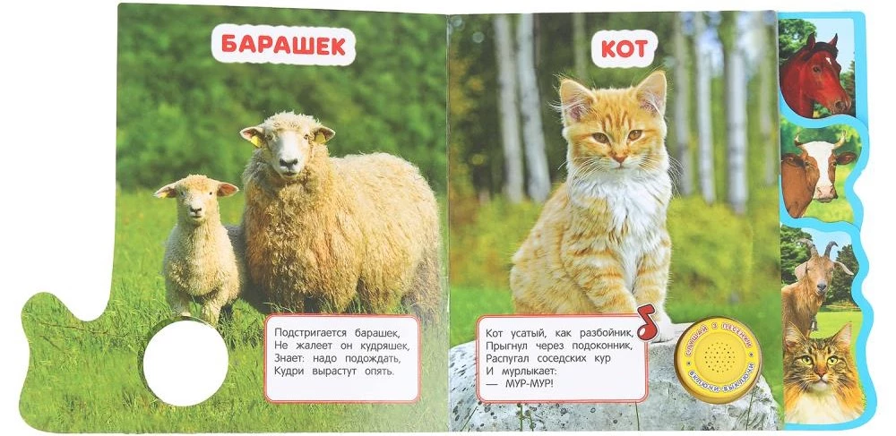 Pets