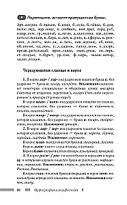 Russian Language for Schoolchildren. Orthography and Morphology. Syntax and Punctuation
