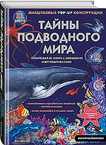 Secrets of the Underwater World. A Book with 3D Windows and a Large Puzzle