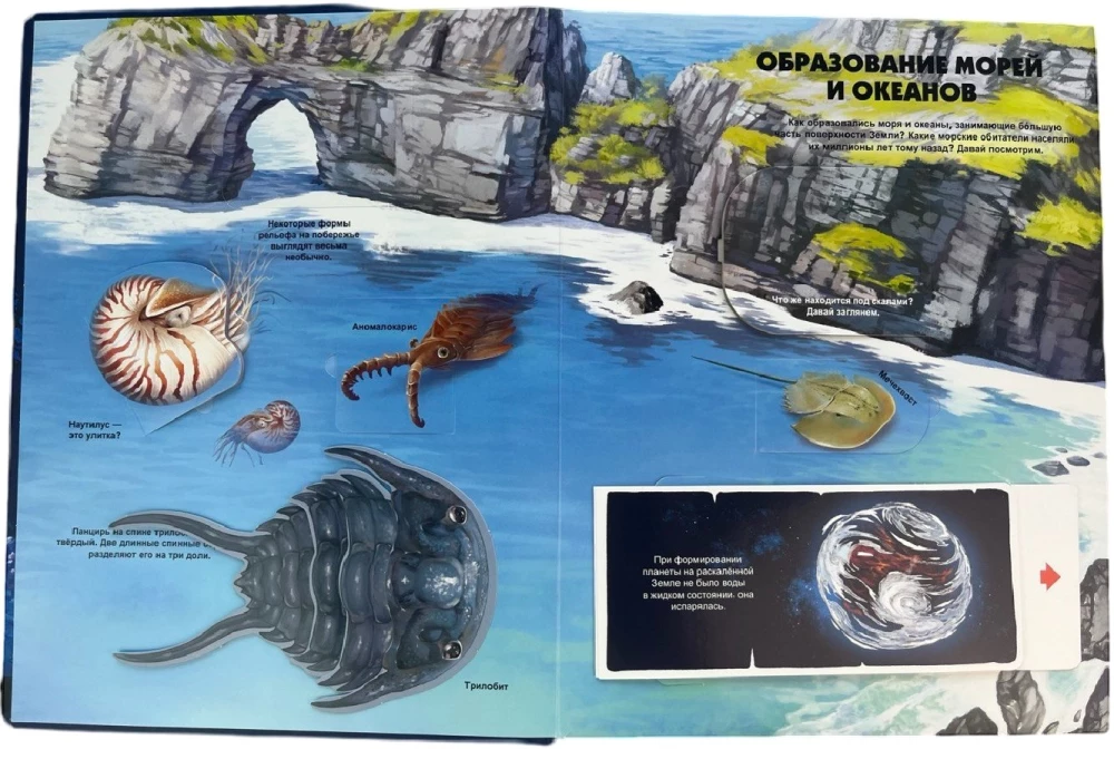 Secrets of the Underwater World. A Book with 3D Windows and a Large Puzzle