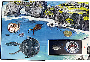 Secrets of the Underwater World. A Book with 3D Windows and a Large Puzzle