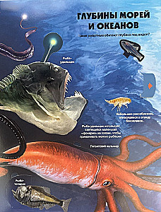 Secrets of the Underwater World. A Book with 3D Windows and a Large Puzzle
