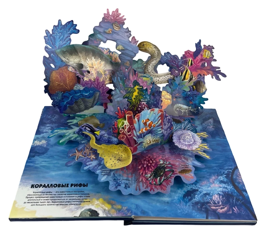 Secrets of the Underwater World. A Book with 3D Windows and a Large Puzzle