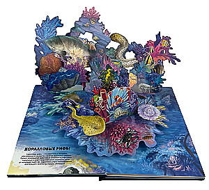 Secrets of the Underwater World. A Book with 3D Windows and a Large Puzzle