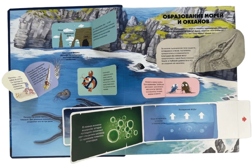 Secrets of the Underwater World. A Book with 3D Windows and a Large Puzzle