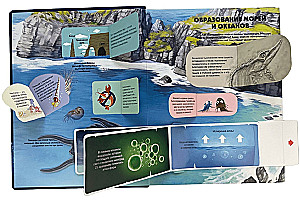 Secrets of the Underwater World. A Book with 3D Windows and a Large Puzzle