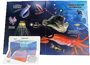 Secrets of the Underwater World. A Book with 3D Windows and a Large Puzzle