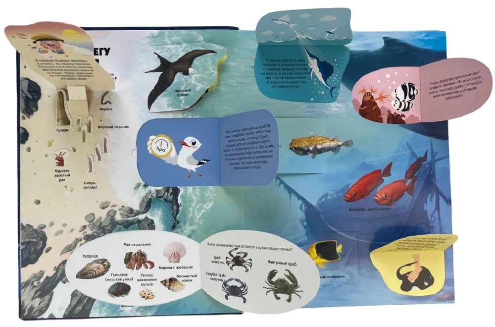 Secrets of the Underwater World. A Book with 3D Windows and a Large Puzzle