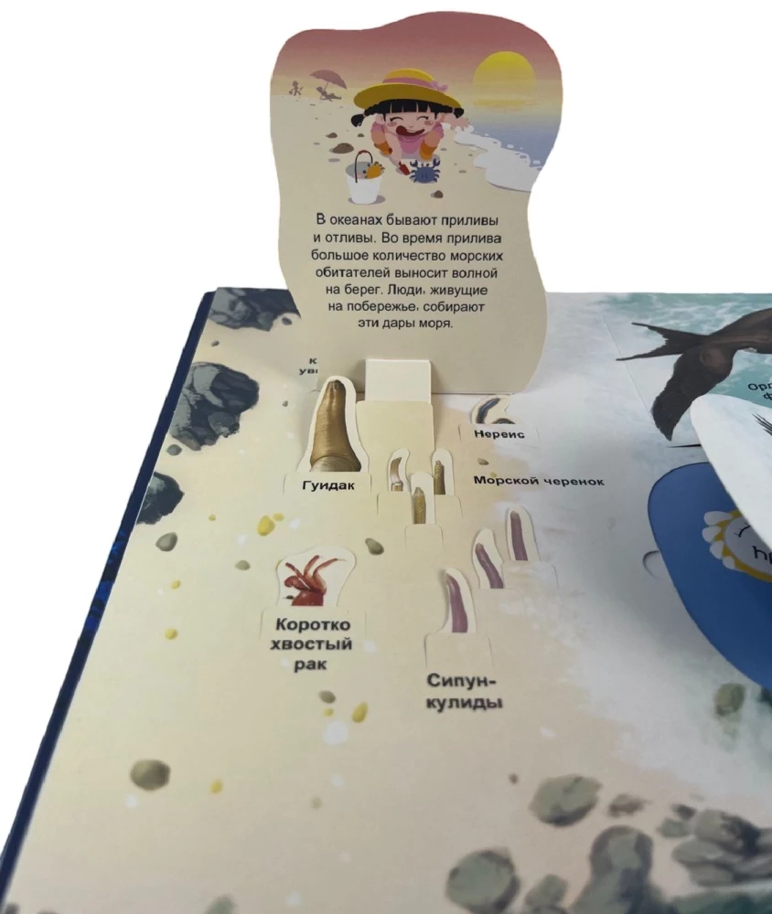 Secrets of the Underwater World. A Book with 3D Windows and a Large Puzzle