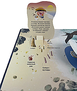 Secrets of the Underwater World. A Book with 3D Windows and a Large Puzzle