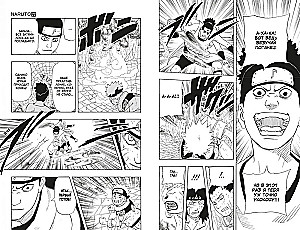 Naruto. Naruto. Książka 8. Reinkarnacja
