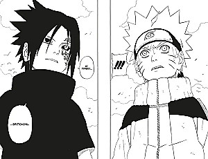 Naruto. Książka 9. Dzień, w którym ich drogi się rozeszły