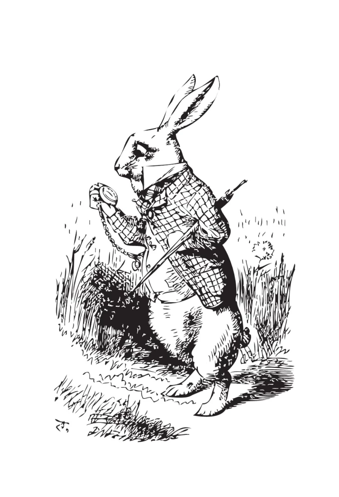 Alice's Adventures in Wonderland. A2