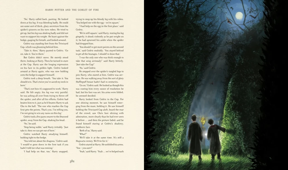Harry Potter und der Feuerkelch
